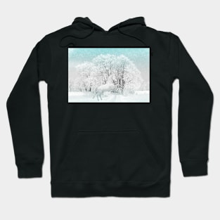 Winter Wonderland Hoodie